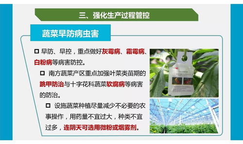 疫情防控下農(nóng)產(chǎn)品質(zhì)量安全與網(wǎng)絡(luò)游戲產(chǎn)品經(jīng)營雙軌操作指南